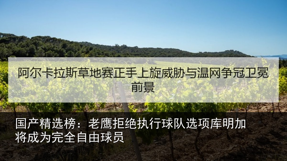 国产精选榜:老鹰拒绝执行球队相关情况完全自由球员