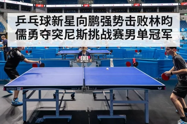 乒乓球新星向鹏强势击败林昀儒勇夺突尼斯挑战赛男单冠军